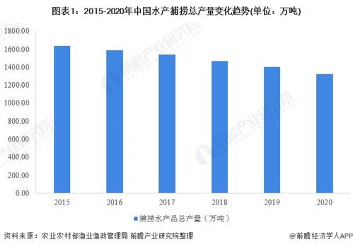 水产品市场分析 趋势、挑战与未来机遇